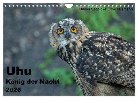 Uhu - König der Nacht (Wandkalender 2026 DIN A4 quer), CALVENDO Monatskalender