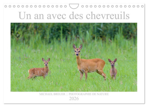 Un an avec des chevreuils (Calendrier mural 2026 DIN A4 vertical), CALVENDO calendrier mensuel
