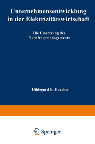 Unternehmensentwicklung in der Elektrizitätswirtschaft
