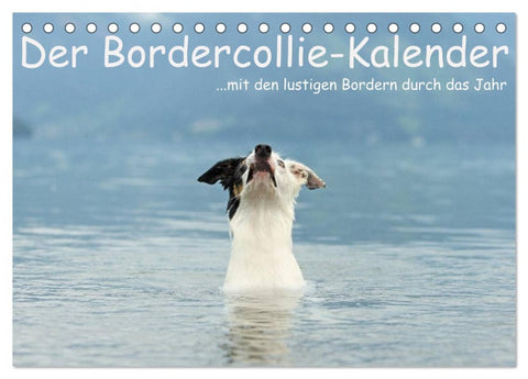 Der Bordercollie-Kalender (Tischkalender 2026 DIN A5 quer), CALVENDO Monatskalender