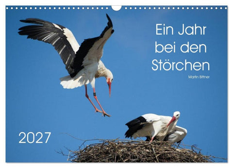 Ein Jahr bei den Störchen (Wandkalender 2027 DIN A3 quer), CALVENDO Monatskalender
