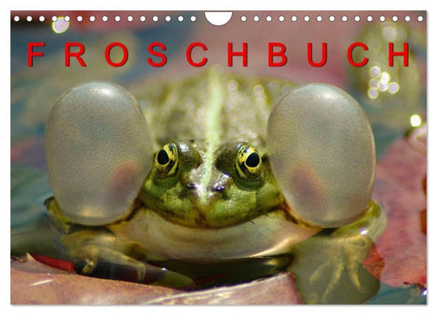 FROSCHBUCH (Wandkalender 2026 DIN A4 quer), CALVENDO Monatskalender
