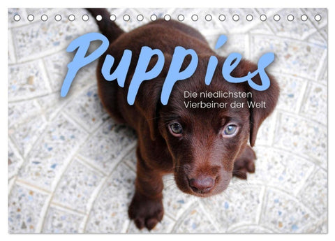 Puppies - Die niedlichsten Vierbeiner der Welt. (Tischkalender 2027 DIN A5 quer), CALVENDO Monatskalender