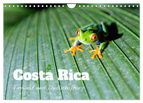 Costa Rica - Tierwelt und Landschaften (Wandkalender 2027 DIN A4 quer), CALVENDO Monatskalender