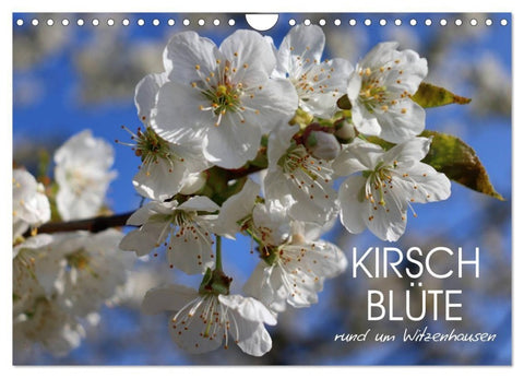 Kirschblüte rund um Witzenhausen (Wandkalender 2027 DIN A4 quer), CALVENDO Monatskalender