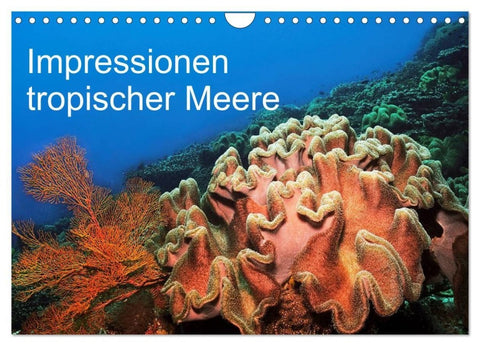 Impressionen tropischer Meere (Wandkalender 2027 DIN A4 quer), CALVENDO Monatskalender