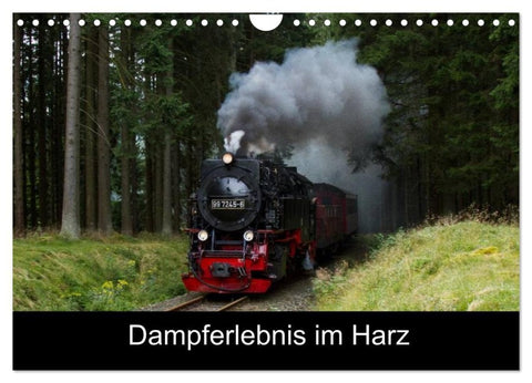 Dampferlebnis im Harz (Wandkalender 2026 DIN A4 quer), CALVENDO Monatskalender