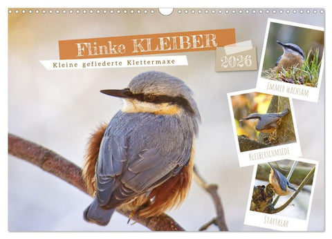 Flinke Kleiber (Wandkalender 2026 DIN A3 quer), CALVENDO Monatskalender