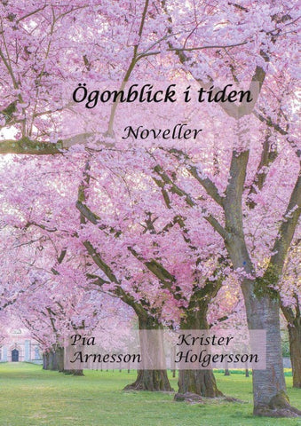 Ögonblick i tiden
