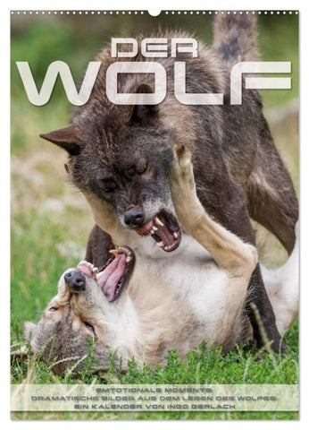 Emotionale Momente: Der Wolf. (Wandkalender 2027 DIN A2 hoch), CALVENDO Monatskalender