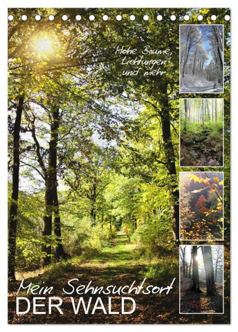 Mein Sehnsuchtsort, der Wald (Tischkalender 2026 DIN A5 hoch), CALVENDO Monatskalender