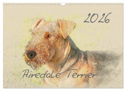 Airedale Terrier 2026 (Wandkalender 2026 DIN A3 quer), CALVENDO Monatskalender