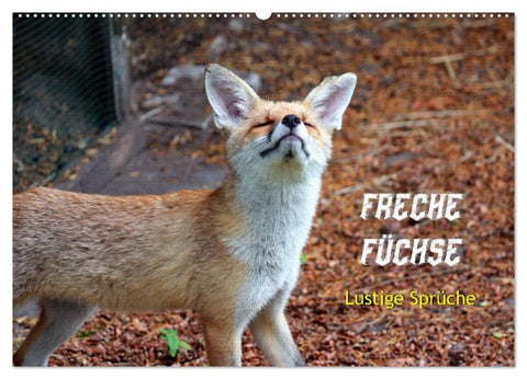 Freche Füchse - lustige Sprüche (Wandkalender 2027 DIN A2 quer), CALVENDO Monatskalender