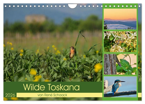 Wilde Toskana - von René Schaack (Wandkalender 2026 DIN A4 quer), CALVENDO Monatskalender