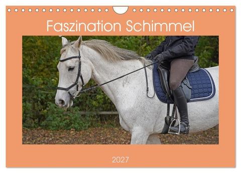 Faszination Schimmel (Wandkalender 2027 DIN A4 quer), CALVENDO Monatskalender