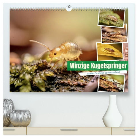 Winzige Kugelspringer (hochwertiger Premium Wandkalender 2027 DIN A2 quer), Kunstdruck in Hochglanz