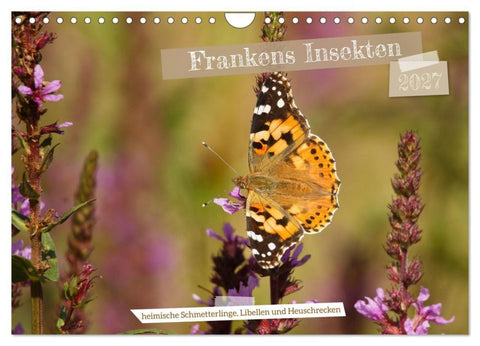 Frankens Insekten (Wandkalender 2027 DIN A4 quer), CALVENDO Monatskalender