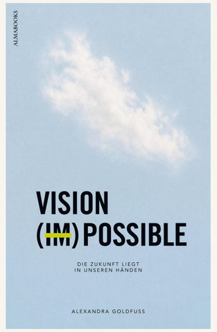 VISION (IM)POSSIBLE