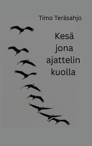Kesä jona ajattelin kuolla