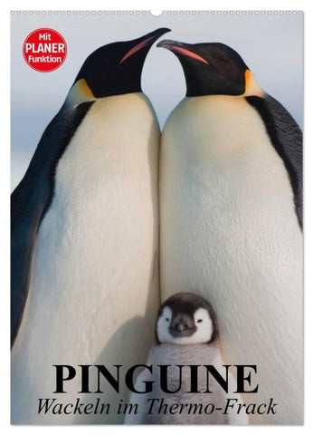 Pinguine. Wackeln im Thermo-Frack (Wandkalender 2027 DIN A2 hoch), CALVENDO Monatskalender