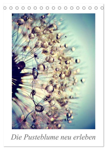 Die Pusteblume neu erleben (Tischkalender 2027 DIN A5 hoch), CALVENDO Monatskalender