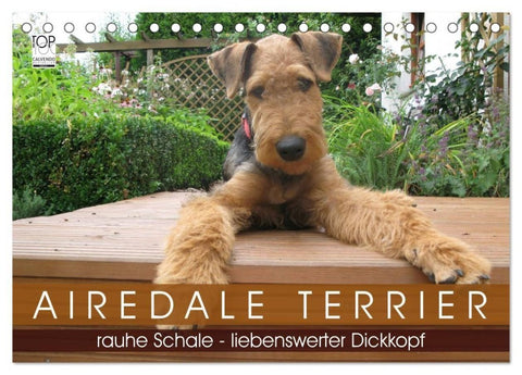 Airedale Terrier (Tischkalender 2027 DIN A5 quer), CALVENDO Monatskalender