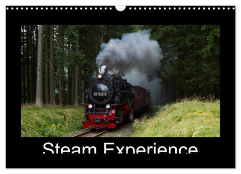 Steam Experience (Wall Calendar 2026 DIN A3 landscape), CALVENDO 12 Month Wall Calendar