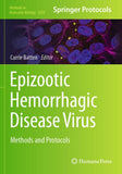 Epizootic Hemorrhagic Disease Virus