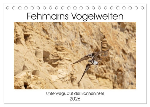 Fehmarn Vogelwelten (Tischkalender 2026 DIN A5 quer), CALVENDO Monatskalender