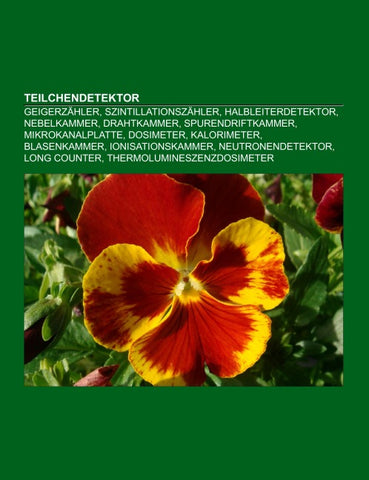 Teilchendetektor