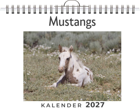 Mustangs