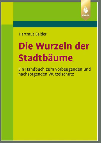 Die Wurzeln der Stadtbäume