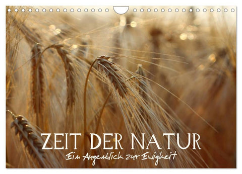 Zeit der Natur - Ein Augenblick zur Ewigkeit (Wandkalender 2026 DIN A4 quer), CALVENDO Monatskalender