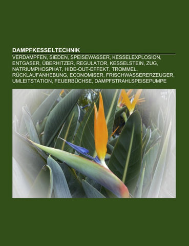 Dampfkesseltechnik