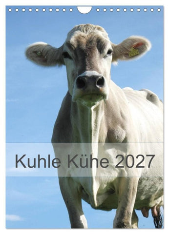 Kuhle Kühe 2027 (Wandkalender 2027 DIN A4 hoch), CALVENDO Monatskalender