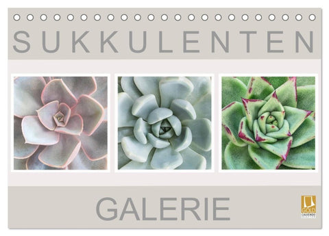 Sukkulenten Galerie (Tischkalender 2026 DIN A5 quer), CALVENDO Monatskalender