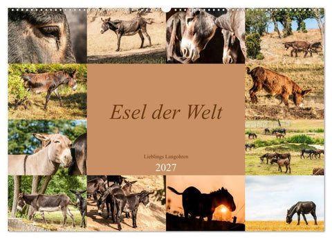 Esel der Welt - Lieblings Langohren (Wandkalender 2027 DIN A2 quer), CALVENDO Monatskalender