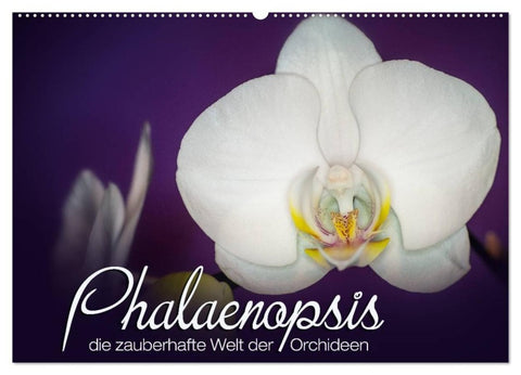 Phalaenopsis - die zauberhafte Welt der Orchideen (Wandkalender 2027 DIN A2 quer), CALVENDO Monatskalender