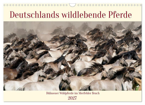 Deutschlands wildlebende Pferde (Wandkalender 2027 DIN A3 quer), CALVENDO Monatskalender