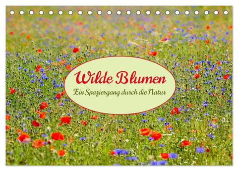Wilde Blumen - ein Spaziergang durch die Natur (Tischkalender 2026 DIN A5 quer), CALVENDO Monatskalender