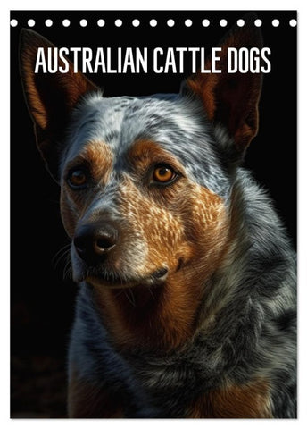 Australian Cattle Dogs (Tischkalender 2027 DIN A5 hoch), CALVENDO Monatskalender
