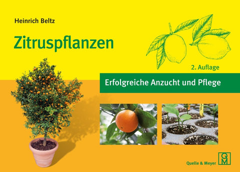 Zitruspflanzen