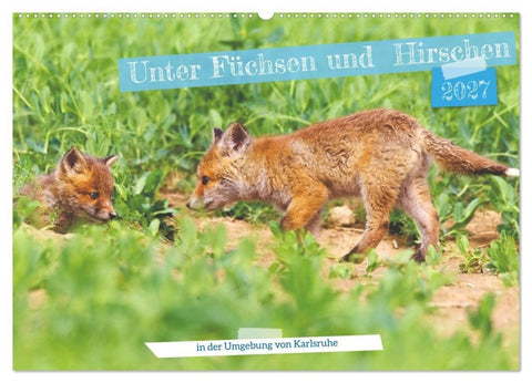 Unter Füchsen und Hirschen (Wandkalender 2027 DIN A2 quer), CALVENDO Monatskalender