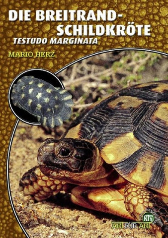 Die Breitrandschildkröte