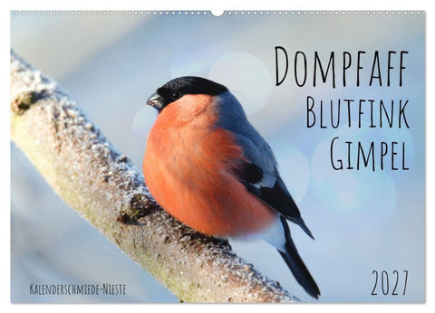 Dompfaff, Blutfink, Gimpel (Wandkalender 2027 DIN A2 quer), CALVENDO Monatskalender