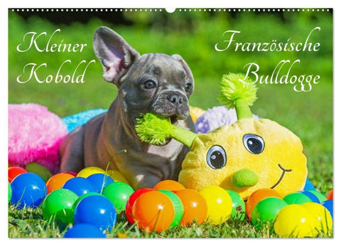 Kleiner Kobold Französische Bulldogge (Wandkalender 2027 DIN A2 quer), CALVENDO Monatskalender