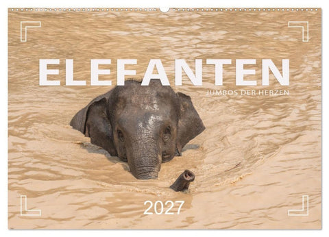 ELEFANTEN Jumbos der Herzen (Wandkalender 2027 DIN A2 quer), CALVENDO Monatskalender
