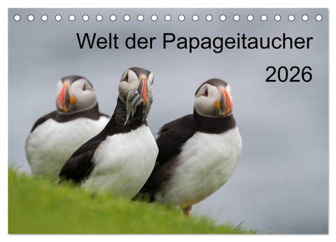 Welt der Papageitaucher (Tischkalender 2026 DIN A5 quer), CALVENDO Monatskalender