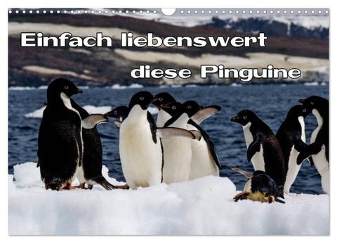 Einfach liebenswert diese Pinguine (Wandkalender 2026 DIN A3 quer), CALVENDO Monatskalender