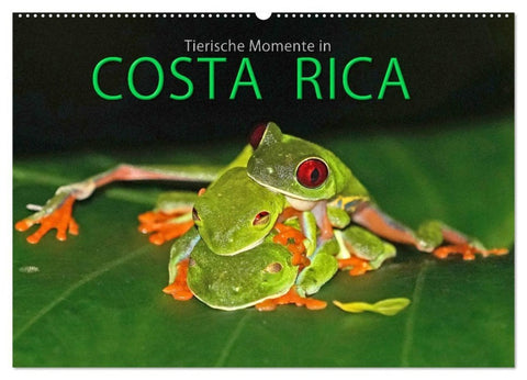 COSTA RICA - Tierische Momente (Wandkalender 2027 DIN A2 quer), CALVENDO Monatskalender